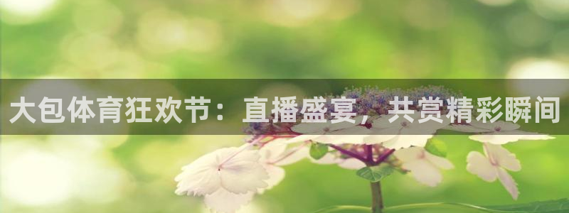 51视频在线直播nba：大包体育狂欢节：直播盛宴，共赏精彩瞬间