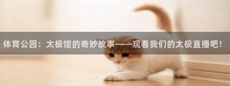 51视频在线直播nba：体育公园：太极馆的奇妙故事——观看我们的太极直播吧！