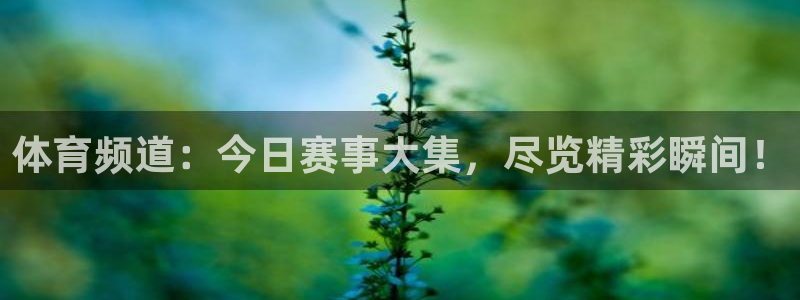 51视频在线直播nba：体育频道：今日赛事大集，尽览精彩瞬间！